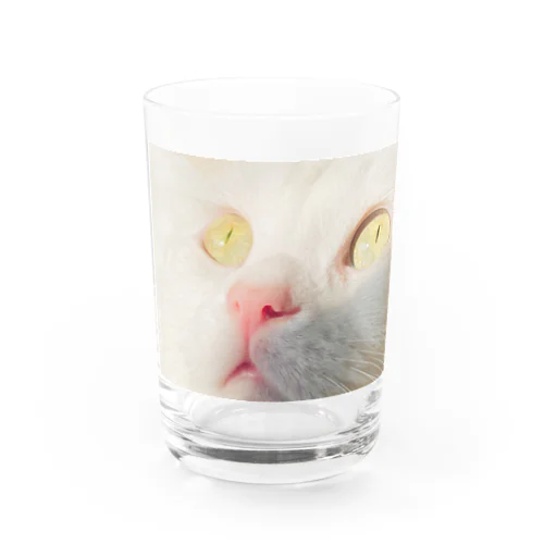 瞳にコスモを感じろ Water Glass