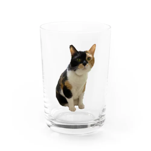 Kinako Water Glass