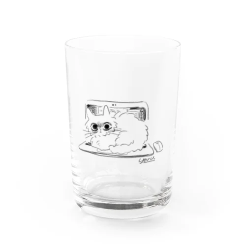 目が怖い猫（パソコン） Water Glass