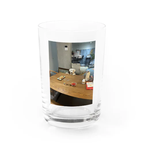 おいなりさんを狙うもきちさん Water Glass