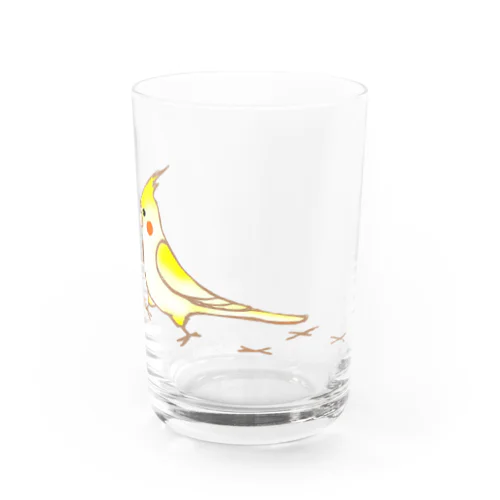 オカメインコさん Water Glass