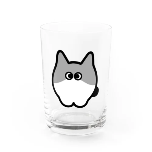 寄り目の猫 グラス