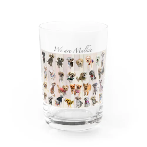 We are Malkie Water Glass