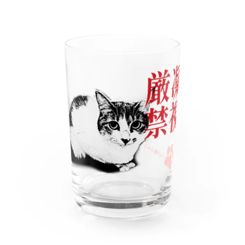 凝視厳禁 | JOYFUL x JOYFUL DESIGNS 0d0 Water Glass