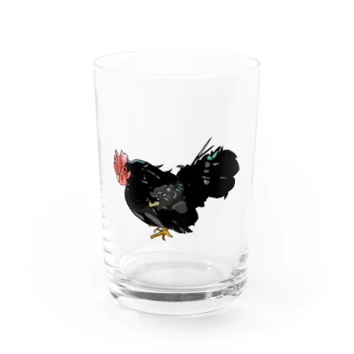 ちゃぼこさん　鶏　矮鶏 Water Glass