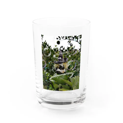 majo ✼garden Water Glass