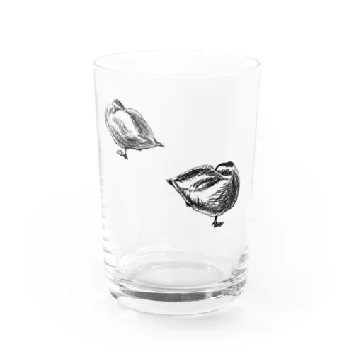 ネムイカモ Water Glass