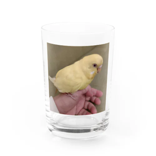 みーすけちゃん Water Glass