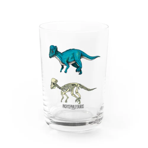 パキケファロサウルス Water Glass