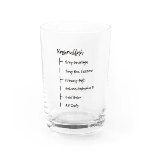 NASRULLAH Water Glass