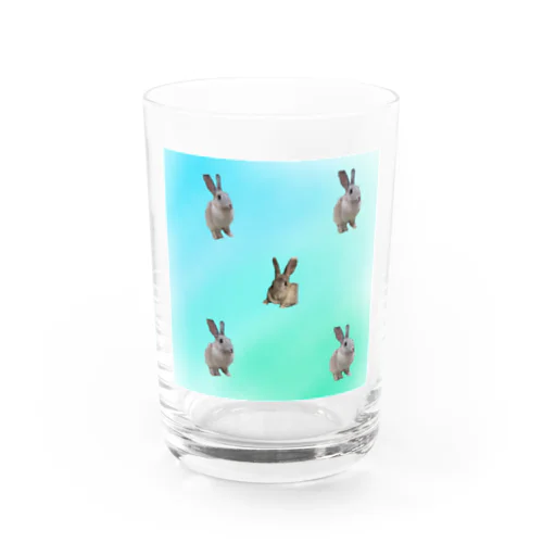 うさぎの善 Water Glass