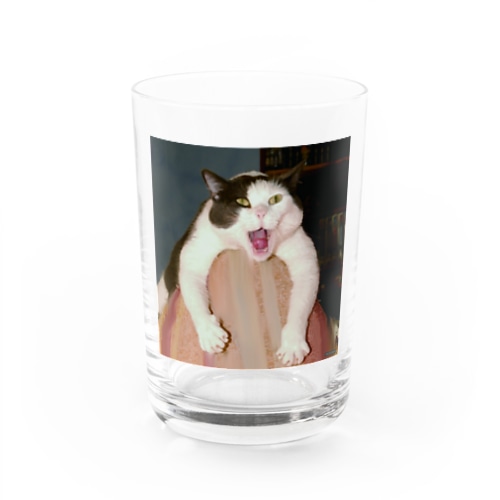 猫０３ Water Glass