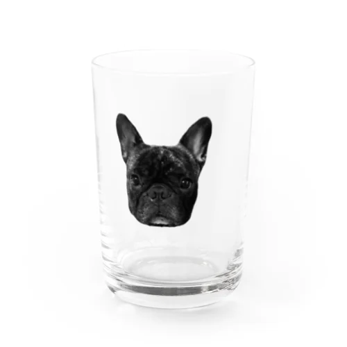 モノクロ　フレンチブルドッグのてんちゃん Water Glass