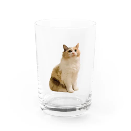 お座りメルちゃん Water Glass