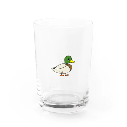 マガモさん(色あり) Water Glass