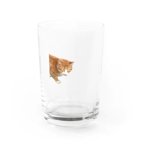 ひょっこり猫 Water Glass