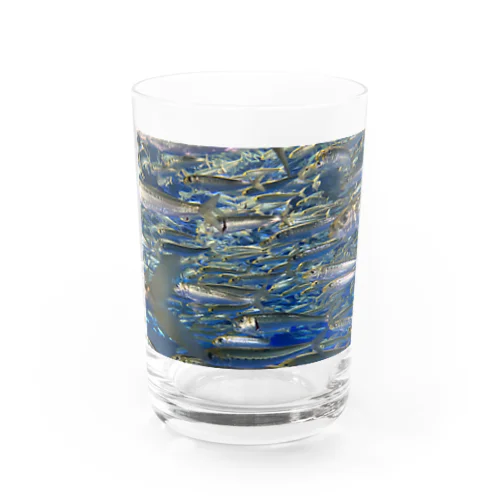 確かイワシ Water Glass