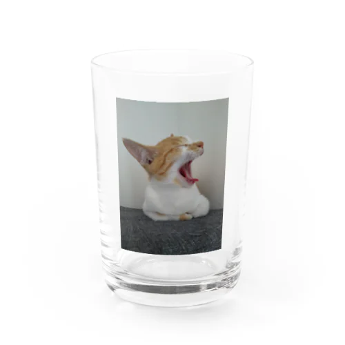 アクビのアンちゃん Water Glass