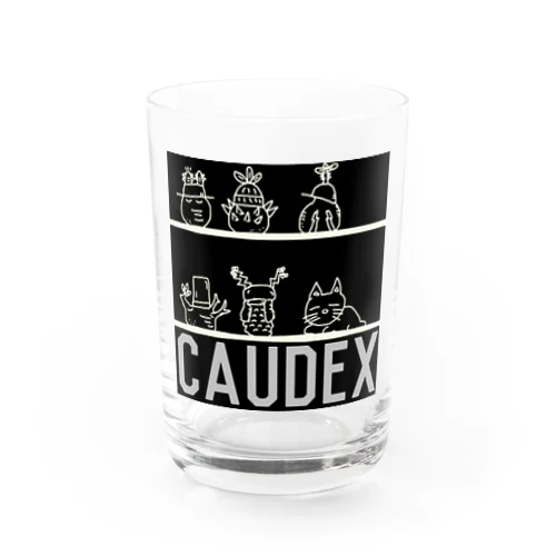 caudex  Water Glass