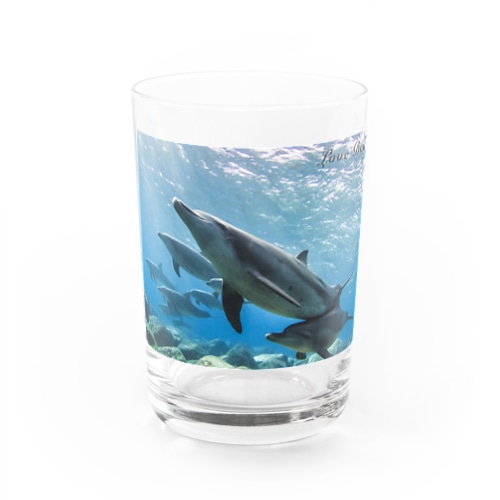 Love Dolphin 4 Water Glass