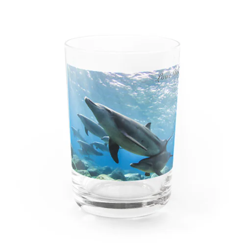 Love Dolphin 4 Water Glass