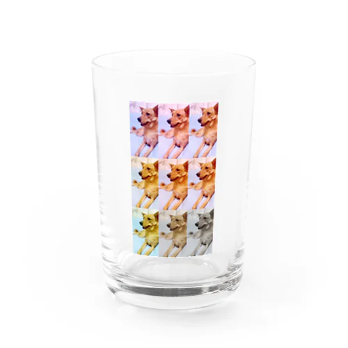 犬　 Water Glass