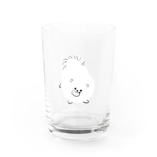 pirika Water Glass