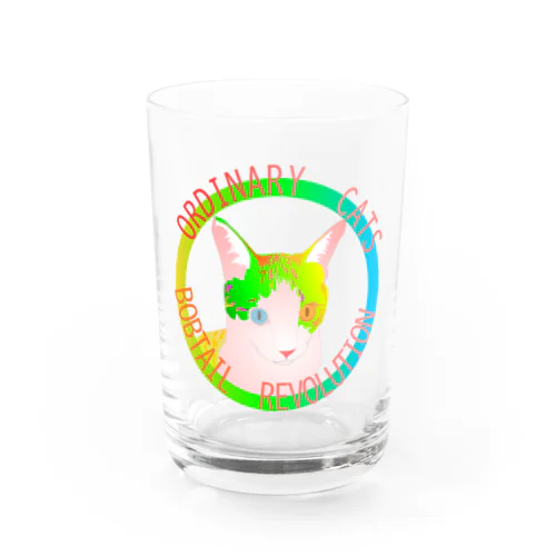 Ordinary Cats01h.t.(春) Water Glass