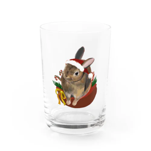 クリスマス🐰🎄 Water Glass