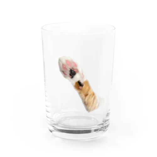 猫パンチ Water Glass
