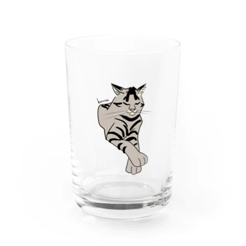 お上品なキジトラ猫 Water Glass