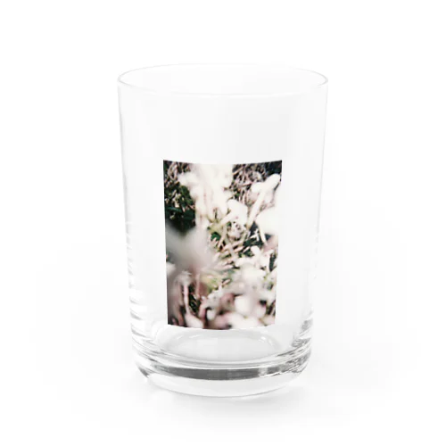 気まぐれオシャシン Water Glass