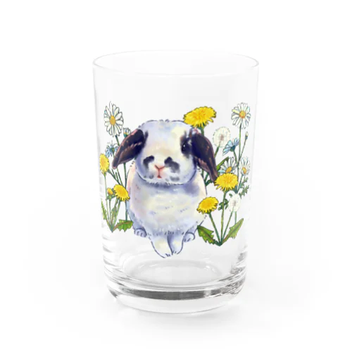 りっちゃん Water Glass