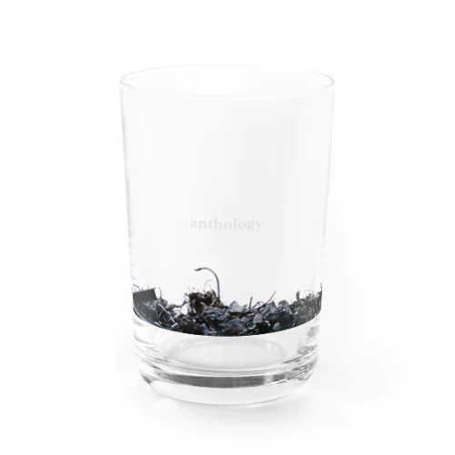 【New】anthology / glass Water Glass