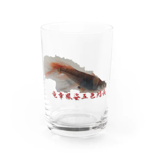 竜章鳳姿五色鰭長 Water Glass