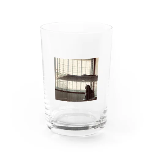 マダラくん Water Glass