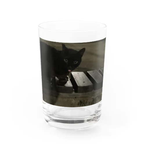 黒猫さん Water Glass