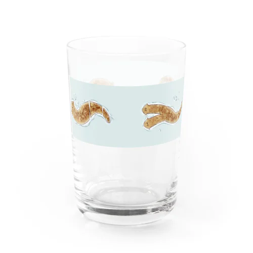 プラナリア Water Glass