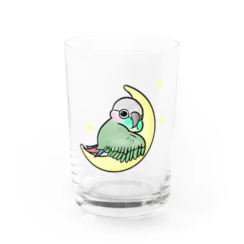 ウロコインコ Water Glass