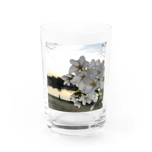 №820 Water Glass