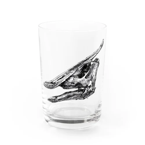 サウロロフスの頭の骨 Water Glass