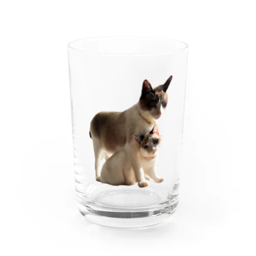 カップルスタイル Water Glass