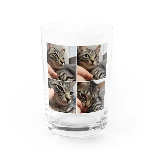 ガブリにゃんこ(Kia) Water Glass