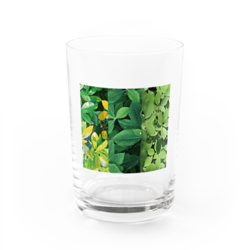 #leaf_002 Water Glass