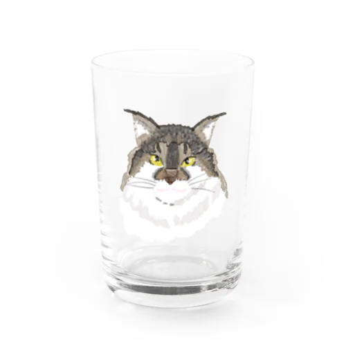 ノルウェージャンフォレストキャット　猫ねこネコ Water Glass