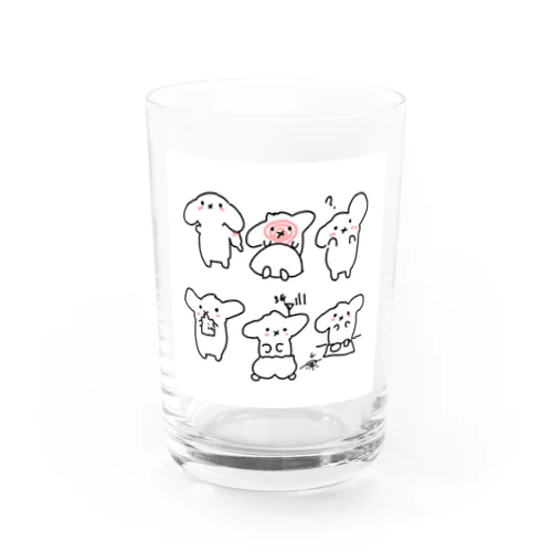 ワクチン接種済みうさぎちゃんたち Water Glass