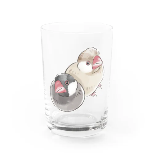 寄り添う文鳥 Water Glass