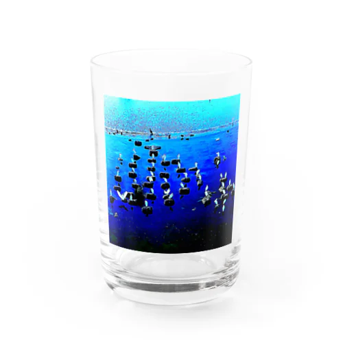 白鷺オセロ Water Glass