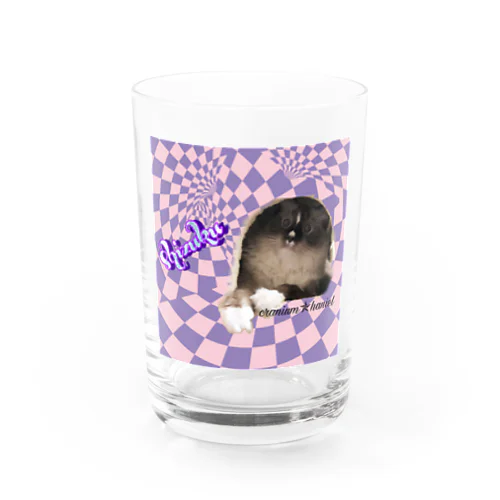 お目目まん丸猫の雫 Water Glass