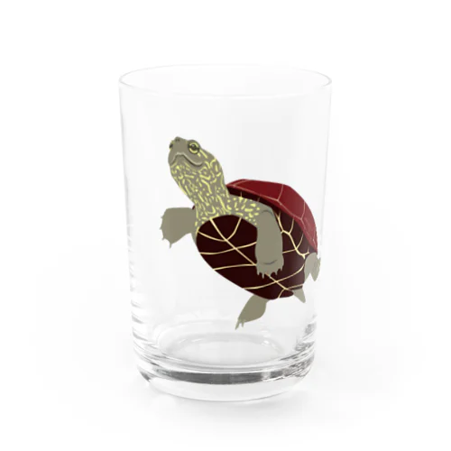 すいすいクサガメ Water Glass